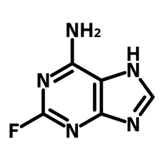2-Fluoroadenine CAS 700-49-2