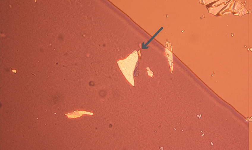 Deterministic transfer Step 8 - A lack of contrast variation and movement of the flake