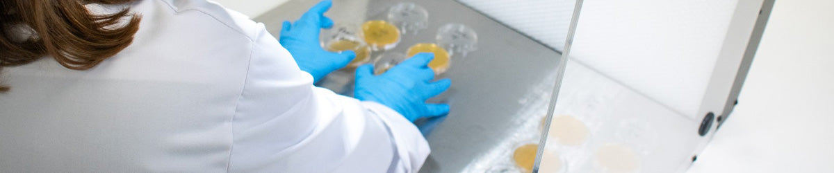 Mechanisms of Antimicrobial Resistance