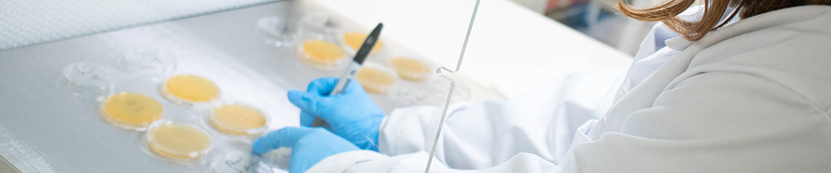 Ossila Laminar Flow Hood