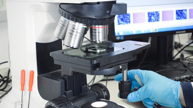 Viscoelastic transfer of 2D material using PDMS | Ossila