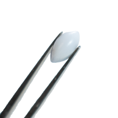 Magnetic Stir Bar