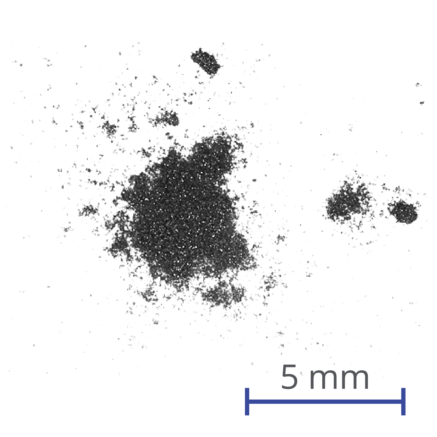 Molybdenum Tungsten Diselenide (MoWSe2) Powder Ossila