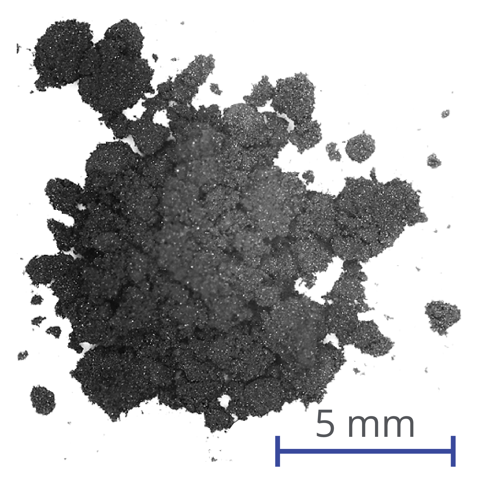 Molybdenum Tungsten Disulfide (MoWS2) Powder Ossila