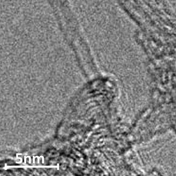 Single-Walled Carbon Nanotubes (SWCNT) | CAS 308068-56-6