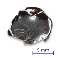 Tin(II) Selenide (SnSe) Crystal CAS 1315-06-6