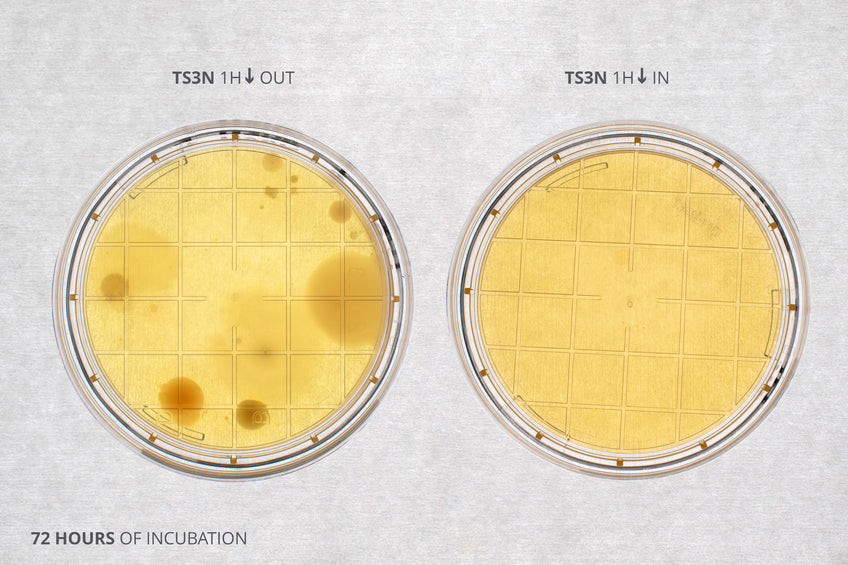 Contamination Plate Contamination Control: How Ossila Laminar Flow Hoods Perform