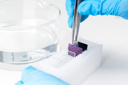 Ossila annealing and cleaning beaker with substrates