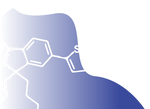Luminosyn Polymers