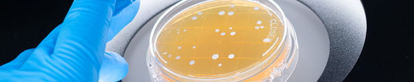 Colony Counter