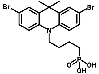Chemical structure of DMAcPA