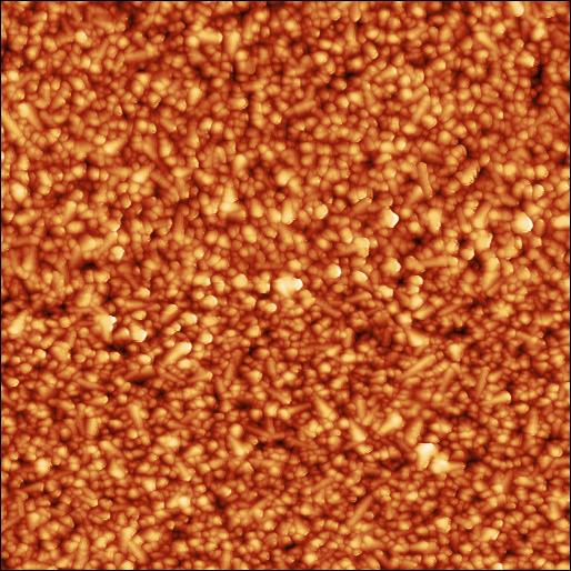 AFM scan of FTO substrate