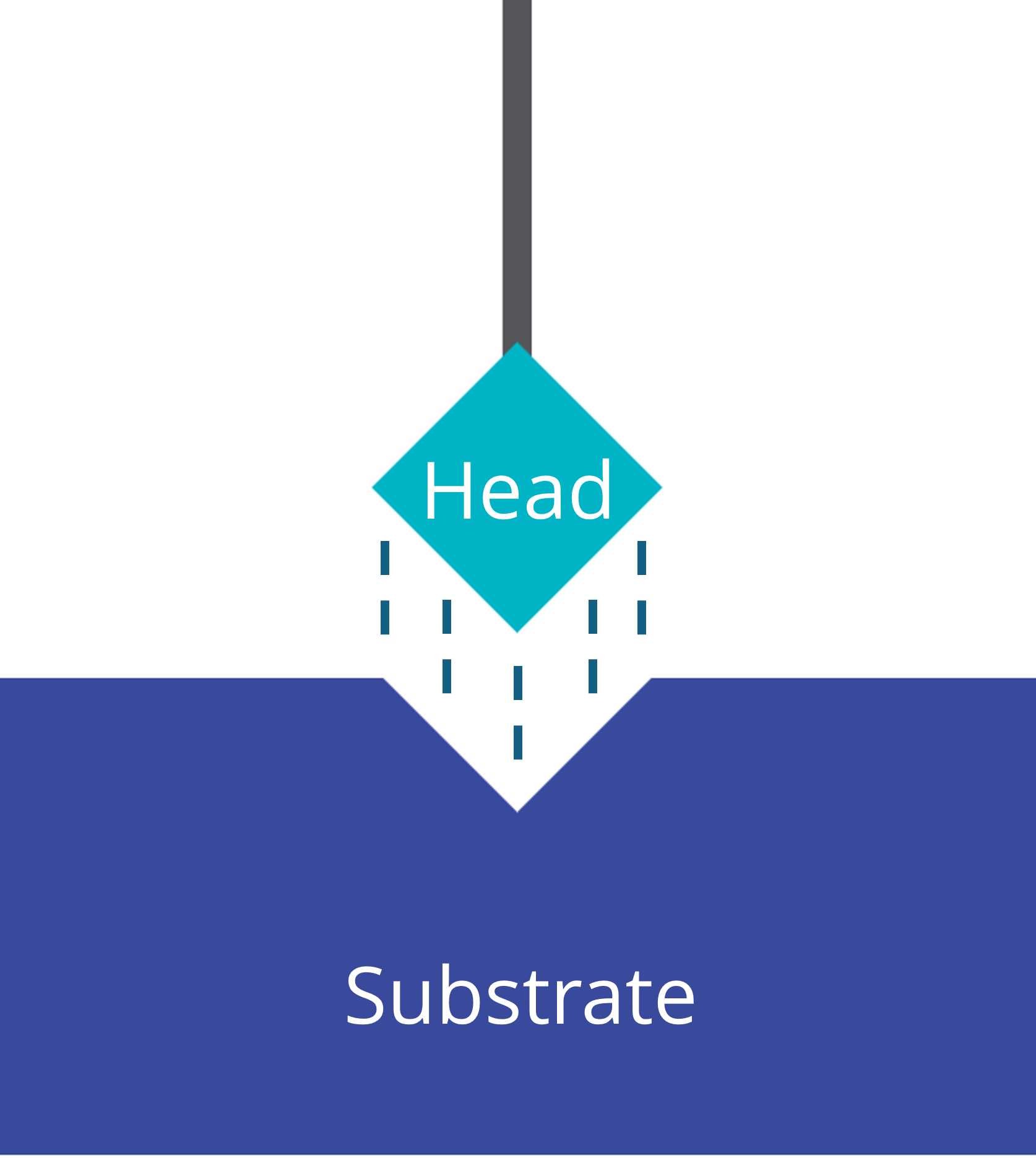 SAM Head Substrate Interactions