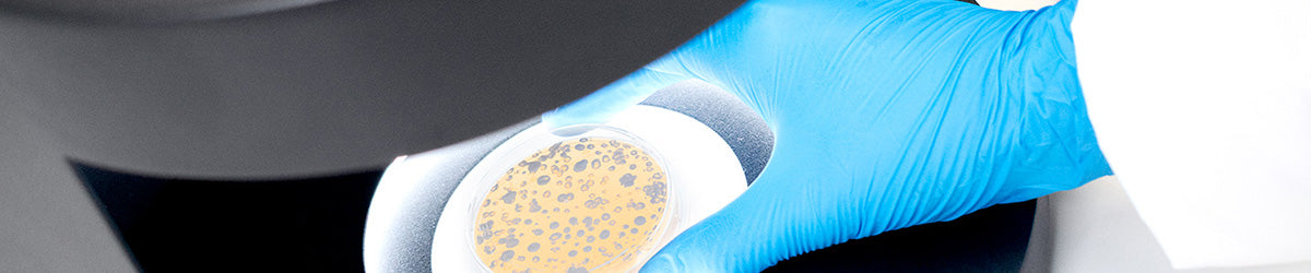 Insitu Colony Counter