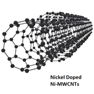 Ni-MWCNTs (Nickel Coated Multi-walled Carbon Nanotubes) CAS 308068-56-6 / 7440-02-0