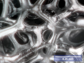 Nickel Foam Structure