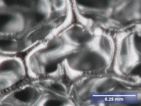 Nickel Foam Structure