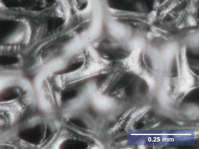 Nickel Foam Structure