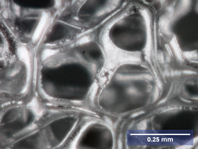 Nickel Foam Structure