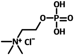 phosphocholine chloride - 107-73-3 chemical structure
