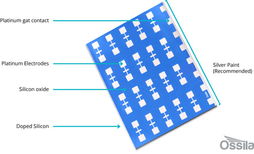 Structure of prefabricated platinum test chip