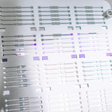 Organic Field Effect Transistors (OFET)
