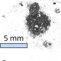 Tungsten diselenide powder