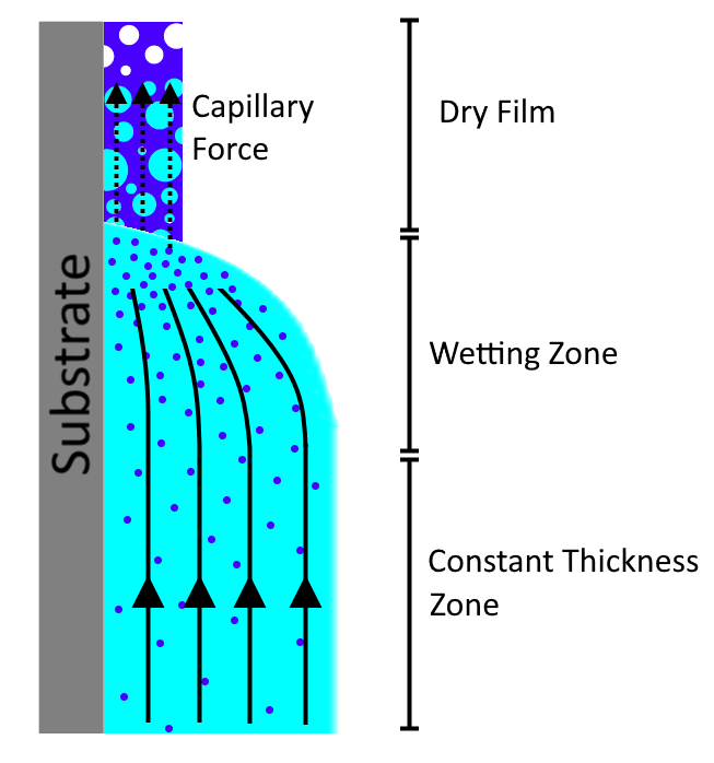 Dynamic of drying in dip coating