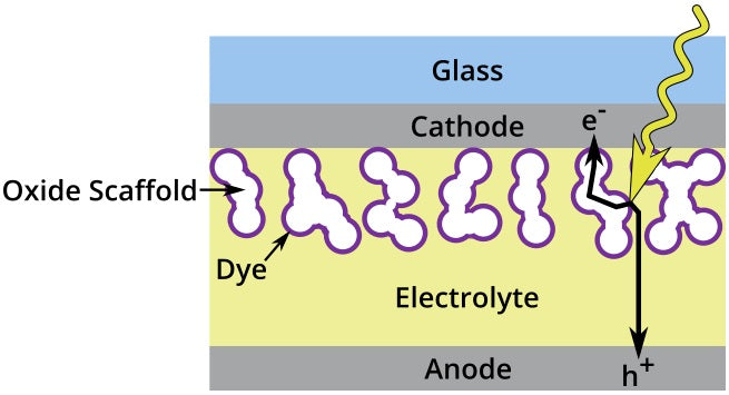 Structure and operation of a dye-sensitised solar cell