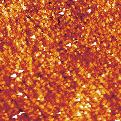 AFM scan of ITO substrate